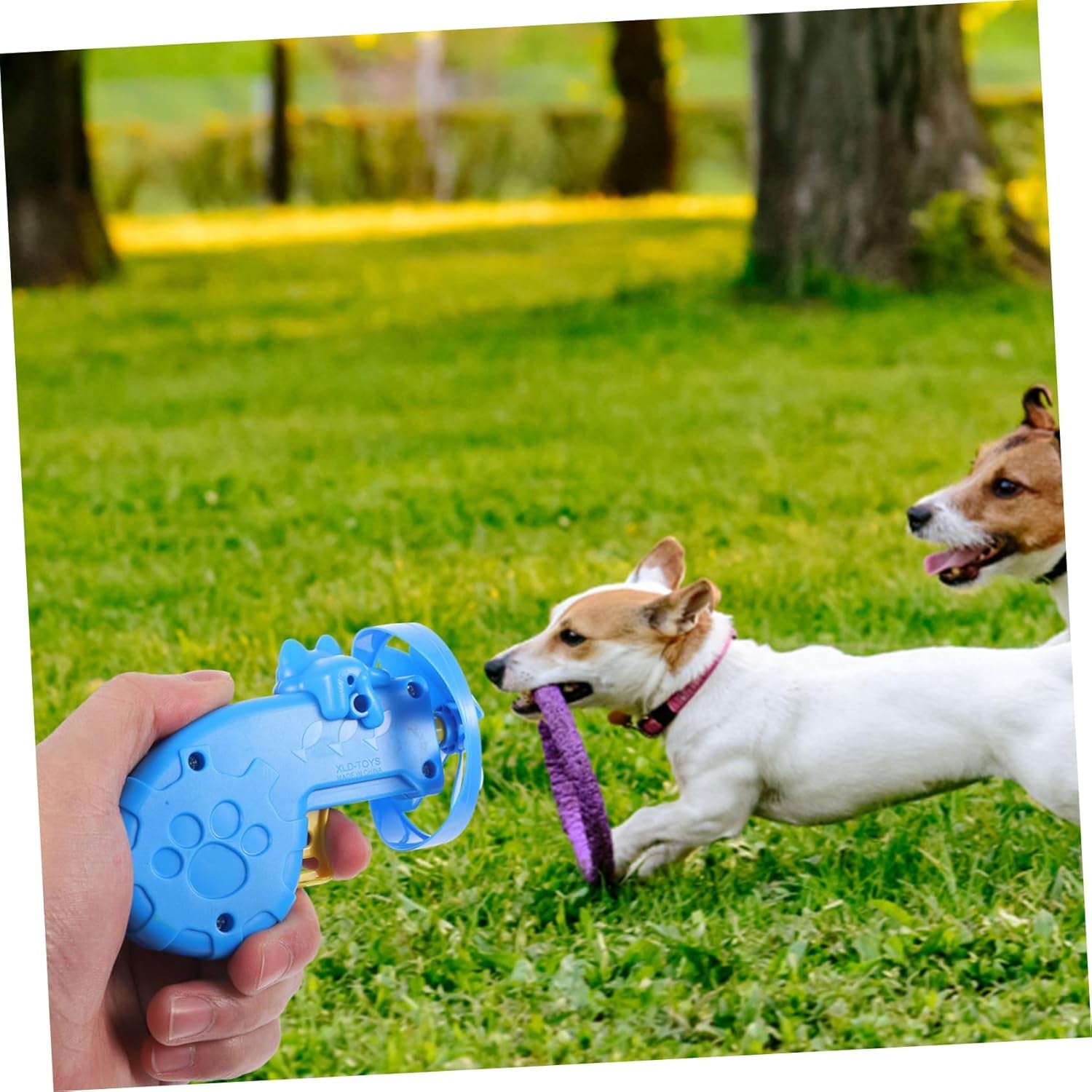 1 Set Dog Sports Toys Chew Toys for Educational Toys Puppy Toys Flying Toys for Puppies Toys Kitten Toys for Cat Fetch Toy Boys Toy Child Puzzle Purple