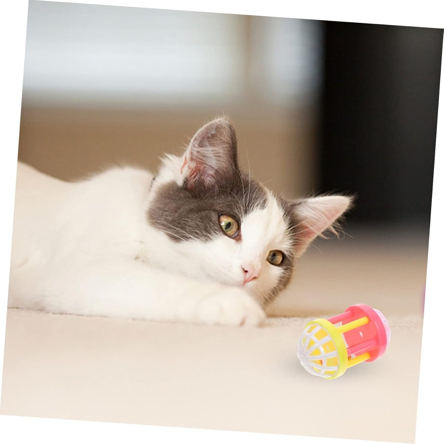 10Pcs Cat Playing Bell Cat Training Ring Bell Jingle Balls for Cats Cat Toy Balls with Bell Jingle Ball Cat Toy Toys for Puppies Wear-Resistant Cat Toy Plastic the Cat Pet Supplies