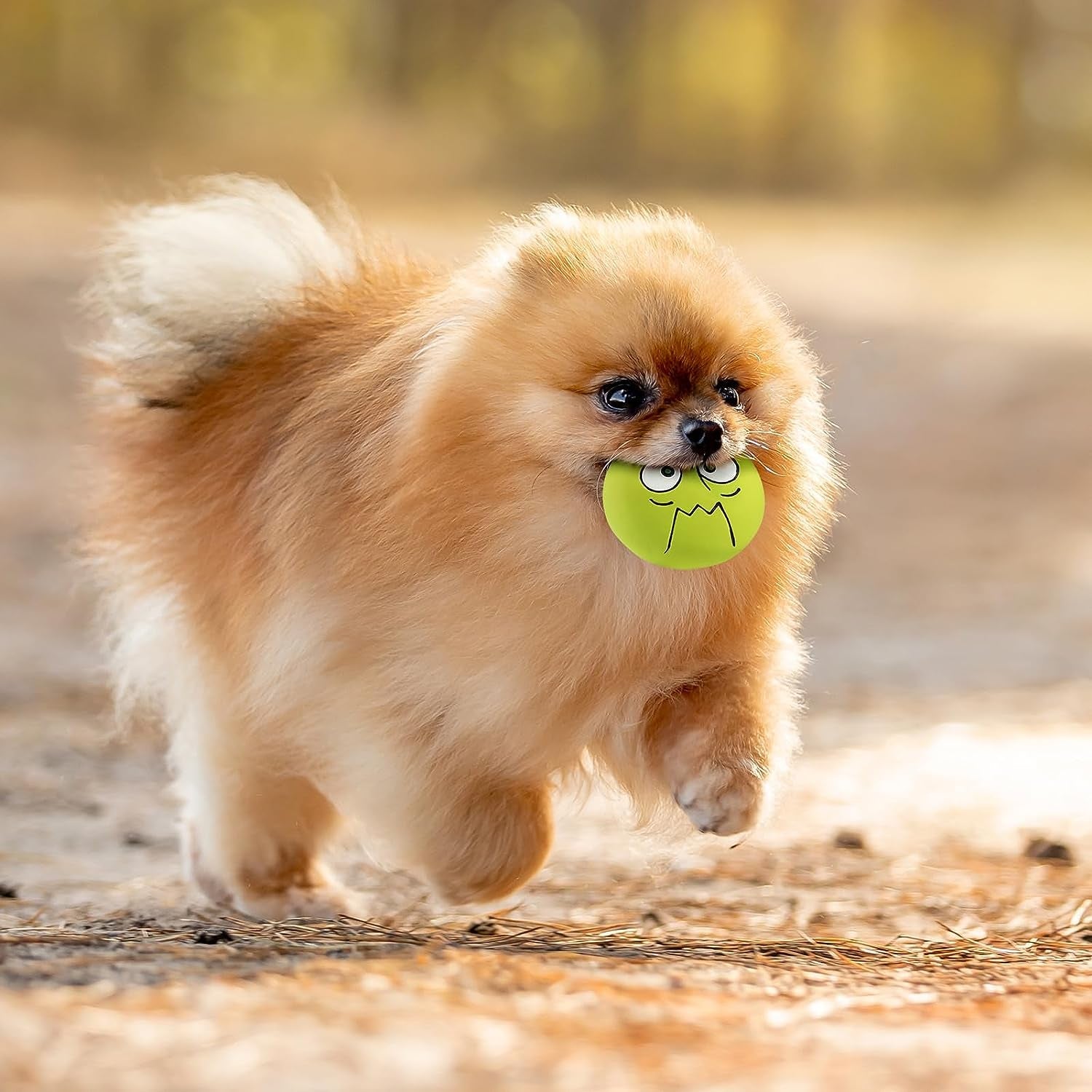 4 Pack 2.8" Smiley Face Squeaky Dog Toys Soft Dog Balls Latex Rubber Squeak Dog Toys for Small Medium Puppy Pet Dogs (Emoji)