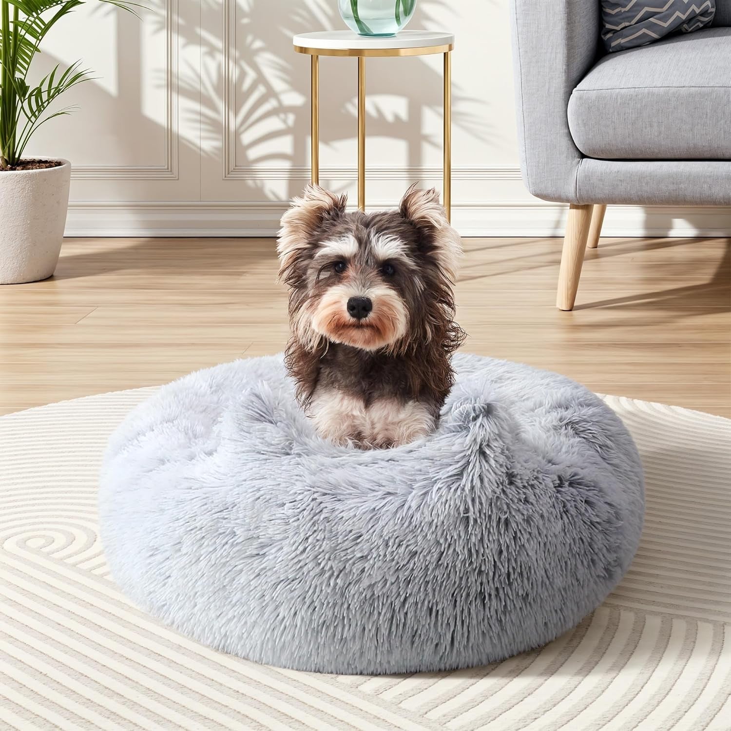 Calming Small Dog Bed, Donut Washable Dog Beds for Small Dogs, Anti-Anxiety Cute Soft Dog Bed with Anti-Slip round Fluffy Plush 20 Inchs Cat Puppy Bed, Light Grey