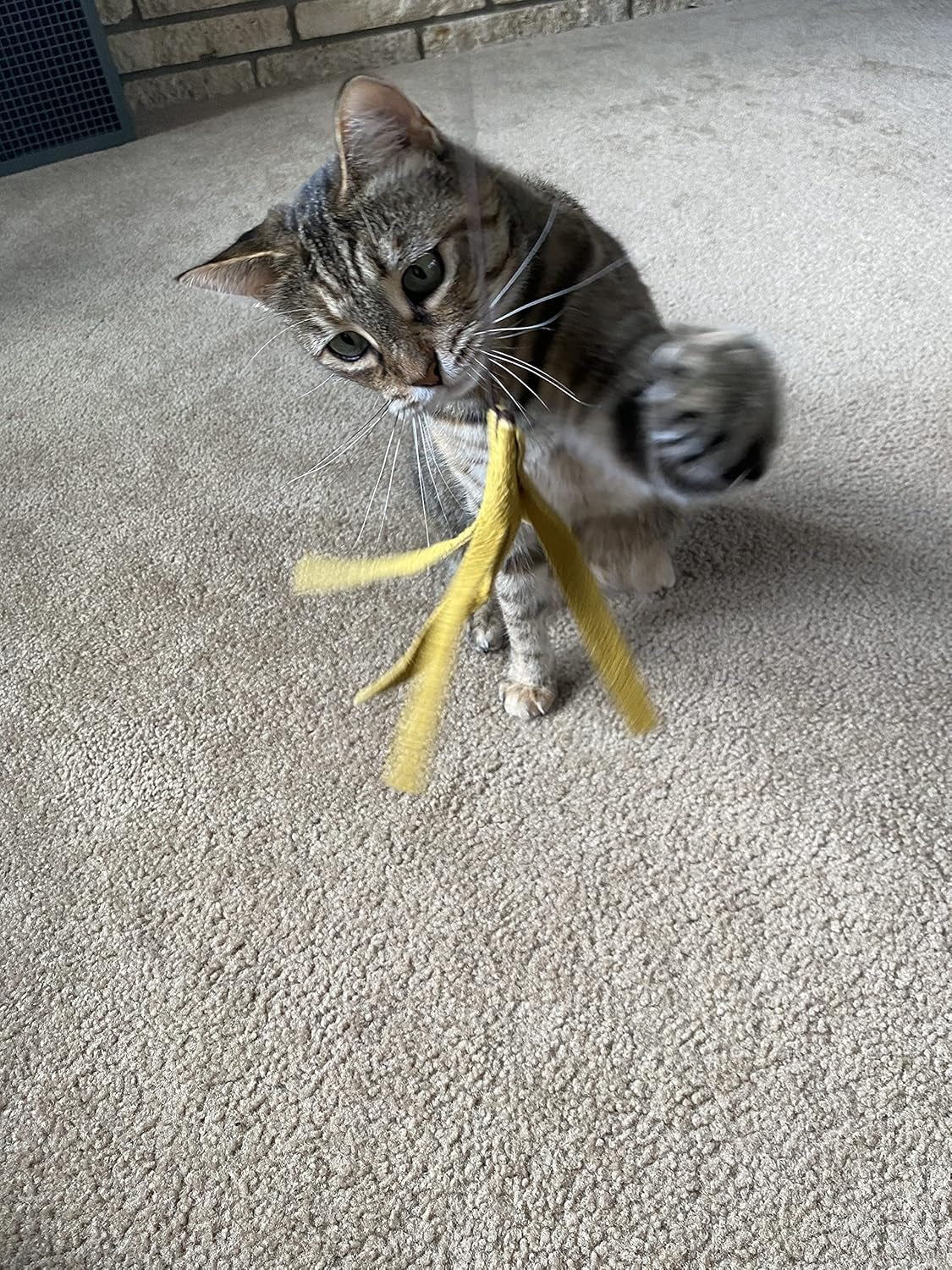 Kitty Kraken | Suede Brown Leather | Natural Birch Wood Rod | Great Teaser and Exerciser for Smaller Cats and Kitten | Interactive Soft | Handcrafted in the USA | 1-Pack