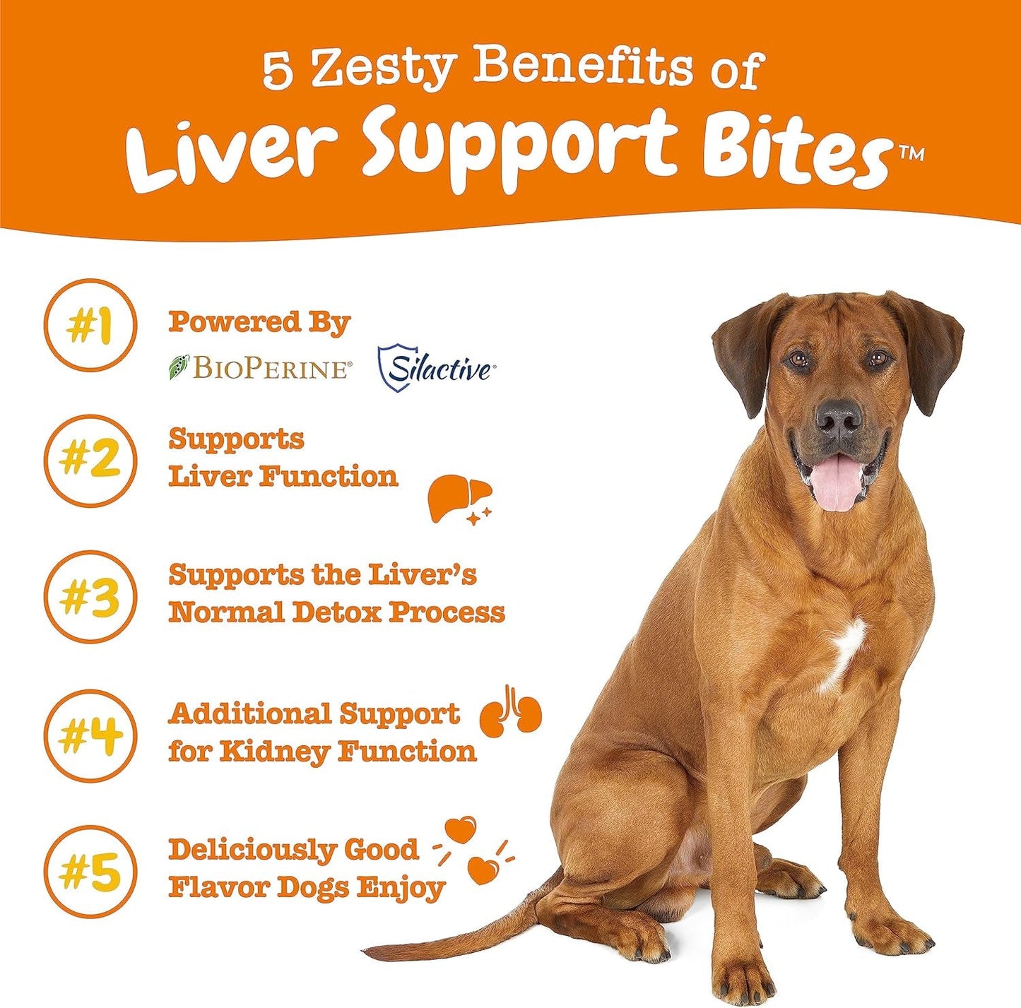 Zesty Paws Liver Support Supplement for Dogs - with Milk Thistle Extract, Turmeric Curcumin, Choline - Soft Chew Formula - for Dog Liver Function