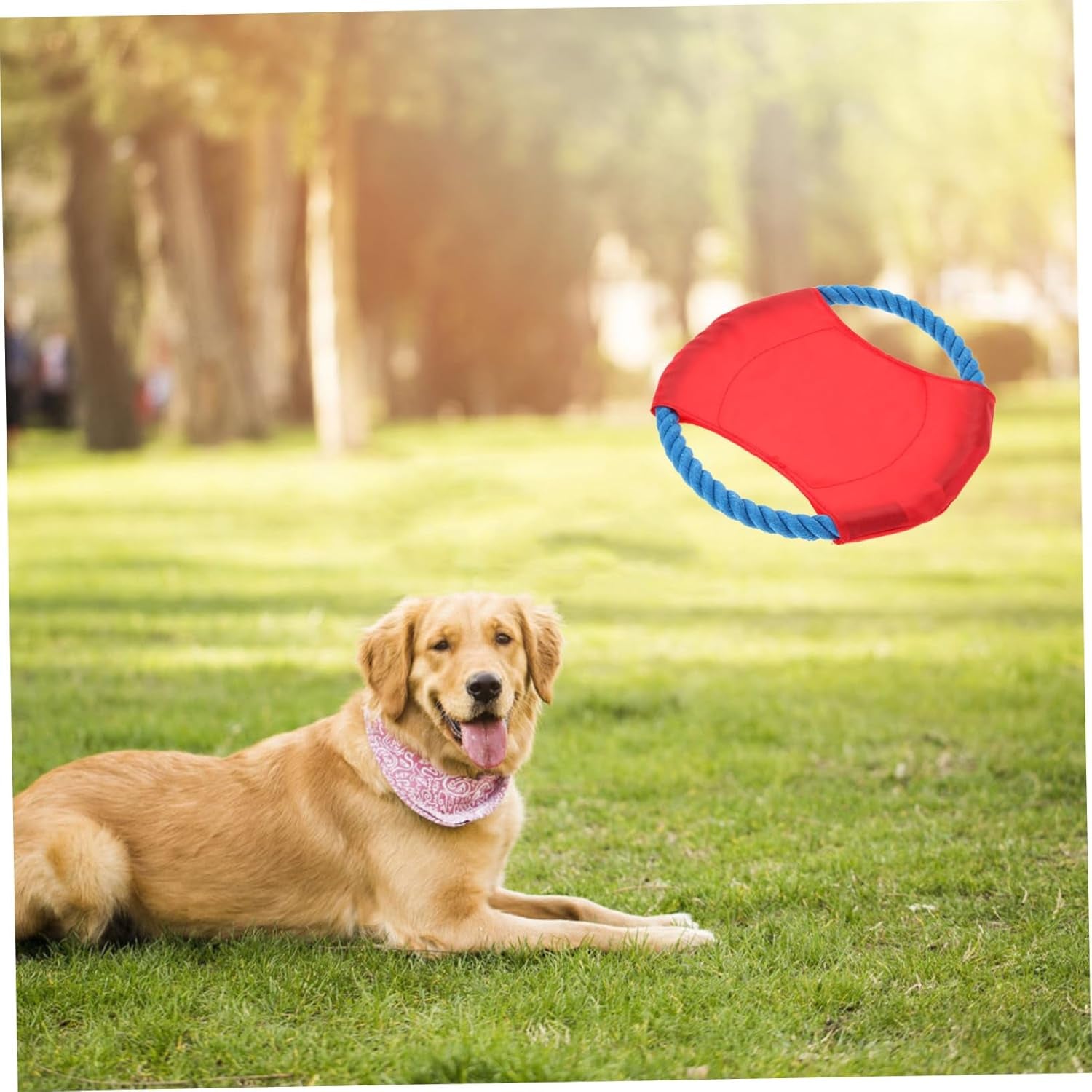 2 Pcs Flying Disk Toys Special Throwing Disc Toys Dog Throwing Discs Toy Dogman Toys Golden Retriever Dog Training Flyer Toy Puupy Soft Disc Flying Discs Toy Pet