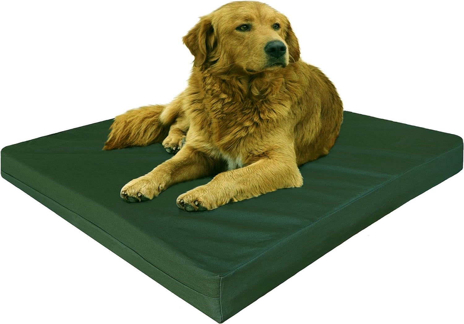 Dogbed4Less Large Orthopedic Gel Infused Memory Foam Dog Bed, Waterproof Liner with Durable Canvas Cover, 41X27X4 Inch, Olive Green (Fit 42X28 Crate)