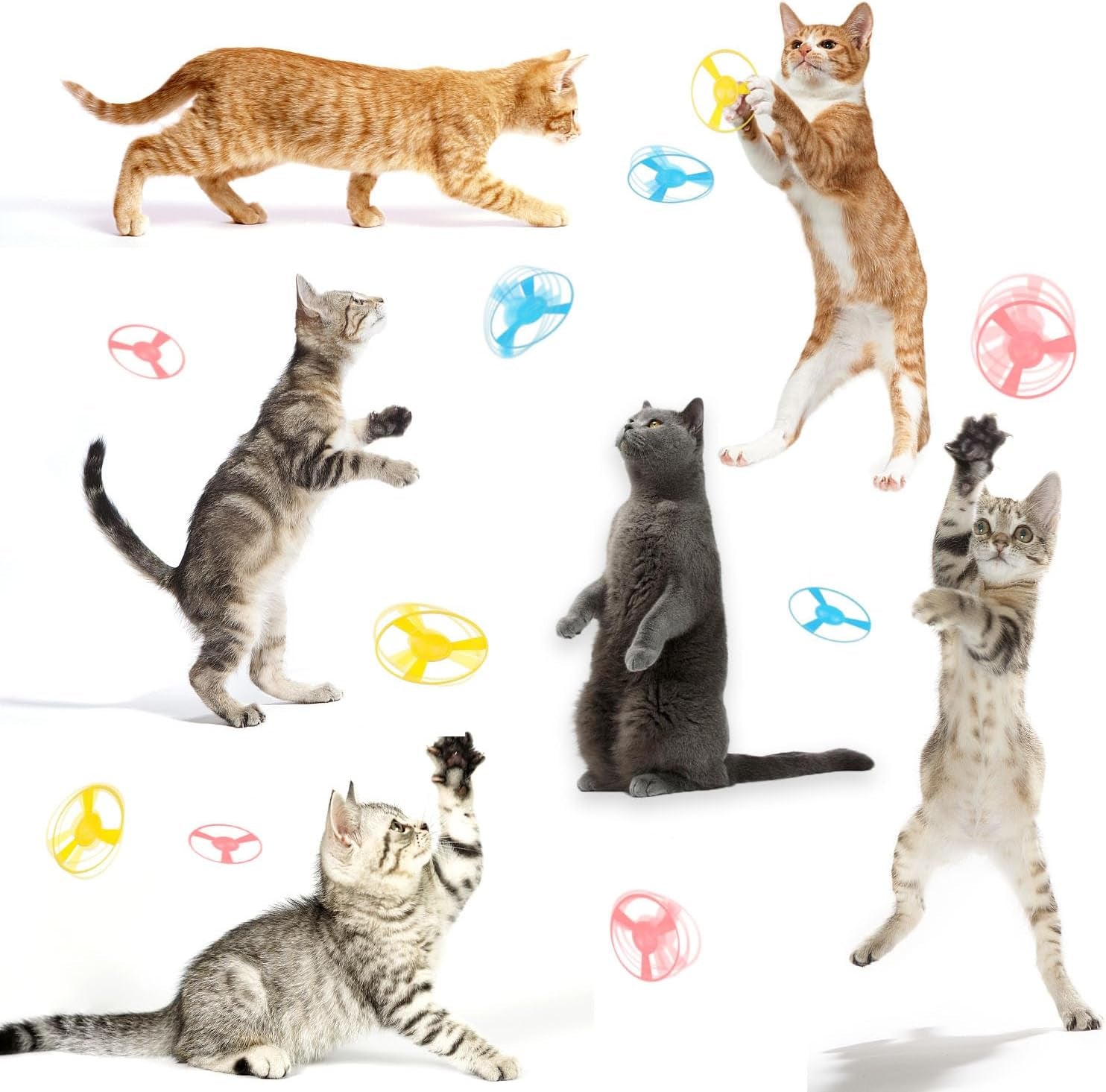 12 PCS Cat Fetch Toy with Colorful Flying Propellers Set, Cat Playing Tracking Interactive Toys for Kitten Chasing Training Hunting (Pink&Blue Wing)