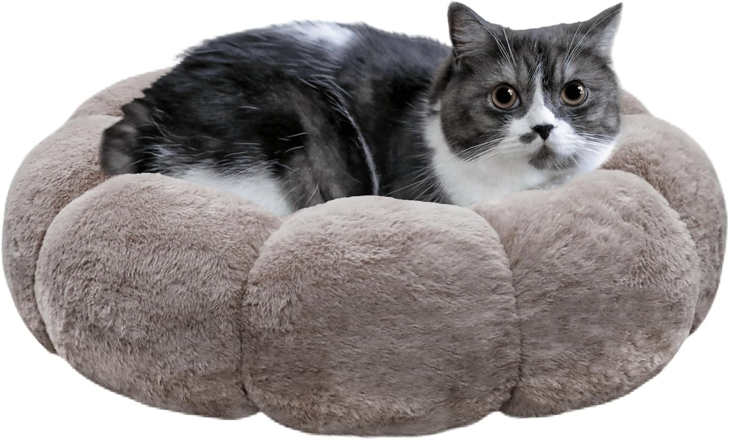 Cat Beds for Indoor Cats, Machine Washable Non-Skid, Fluffy Flower Cat Bed Cute, anti Anxiety Dog Beds for Toy Size Dogs, 20 * 20 Inches, Grey