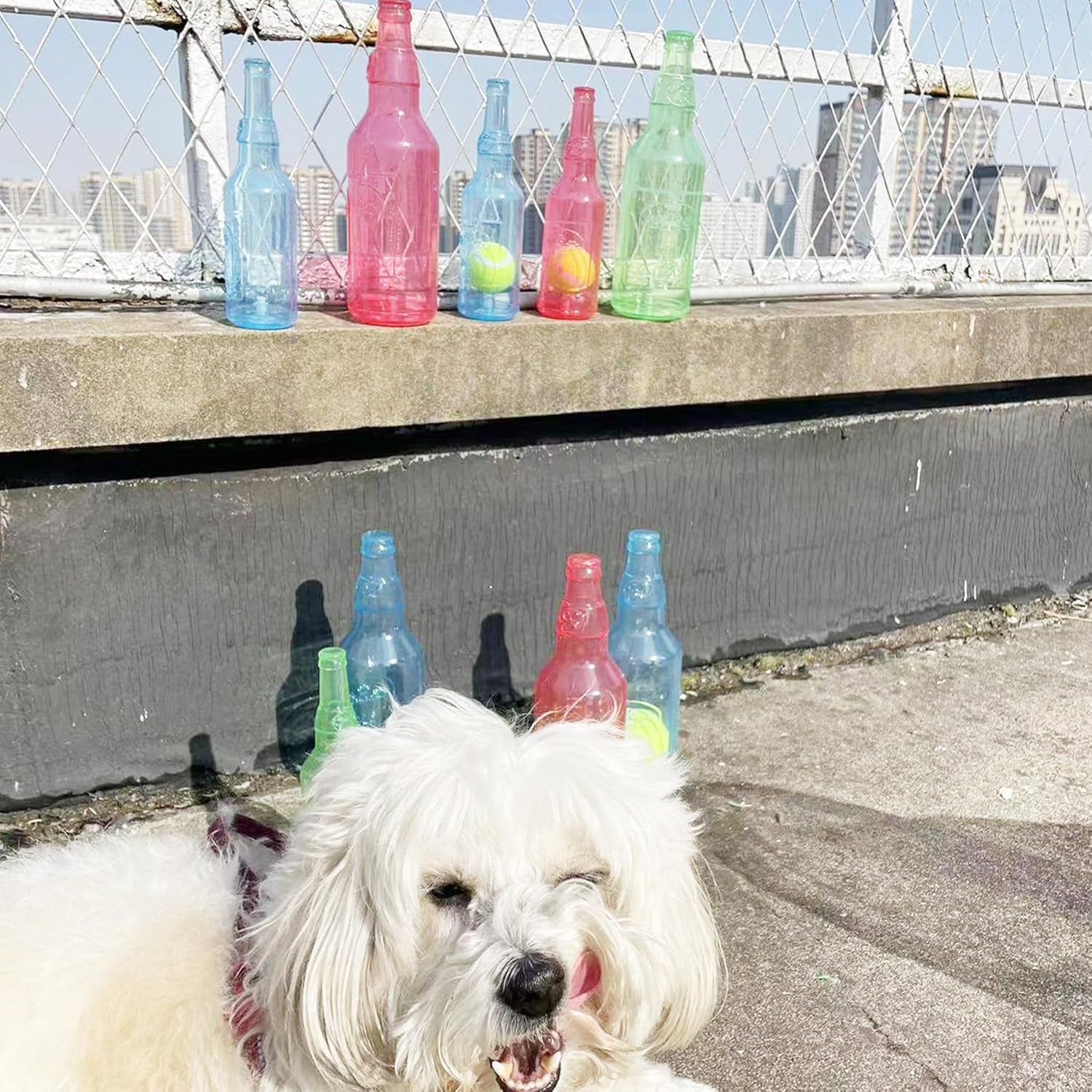 Crunchnplay Bottle Toy,Bottle Chew Toys for Dogs,Water Bottle Toys for Dogs,Dog Toy Water Bottle (Blue)