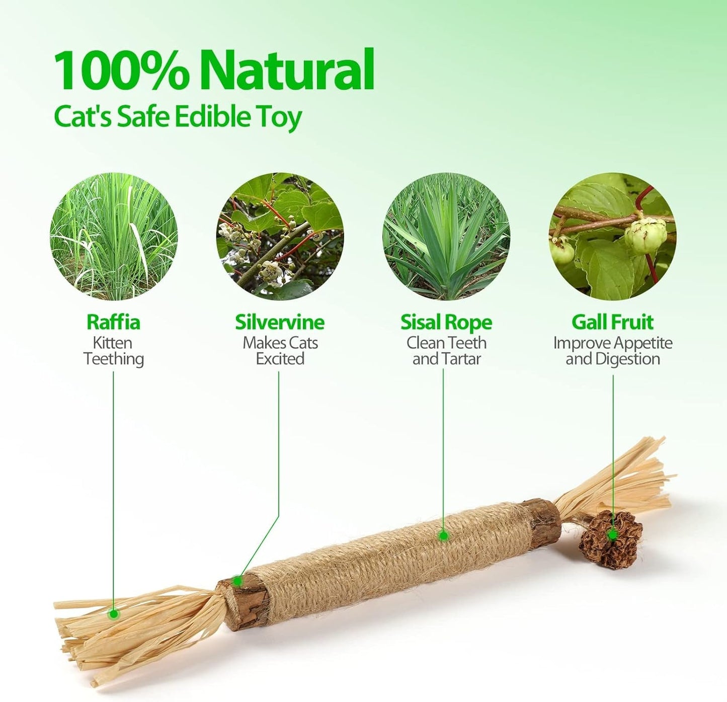 10 Park Silvervine Cat Toy, Silvervine Sticks for Cats, Cat Toy with Silvervine, Cat Chew Stick for Aggressive Chewers, Kitten Teething, and Dental Health - Silvervine Cat Toys for Hours of Fun