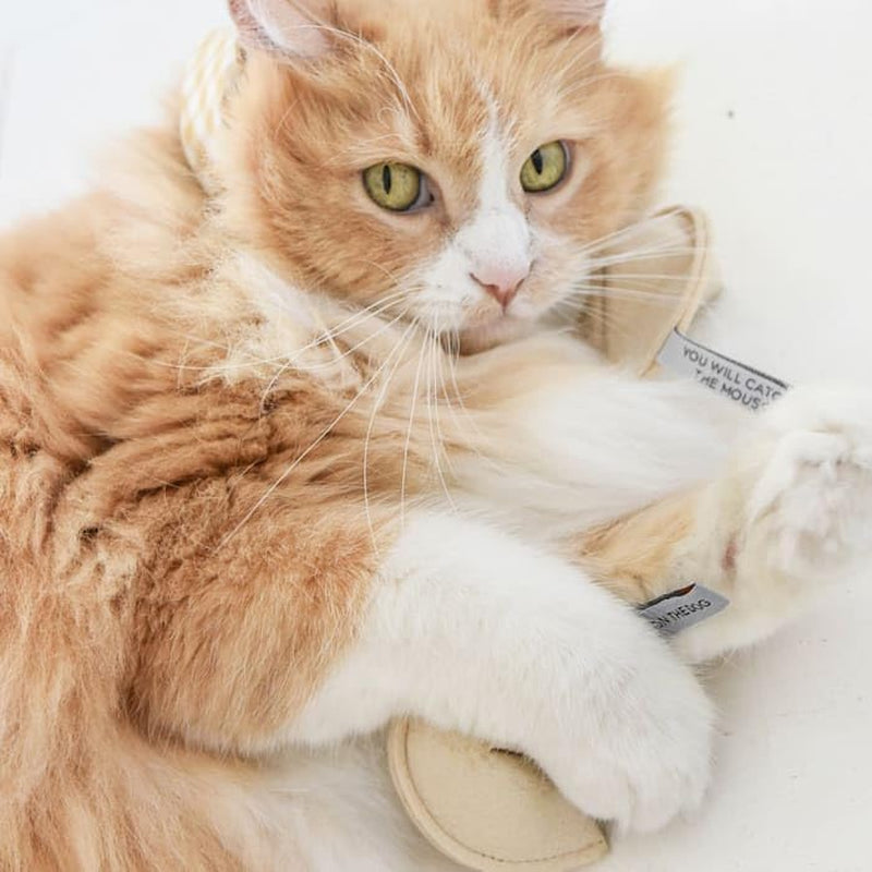 Kitty Fortune Cookie You Will Catch the Mouse Cat Toy