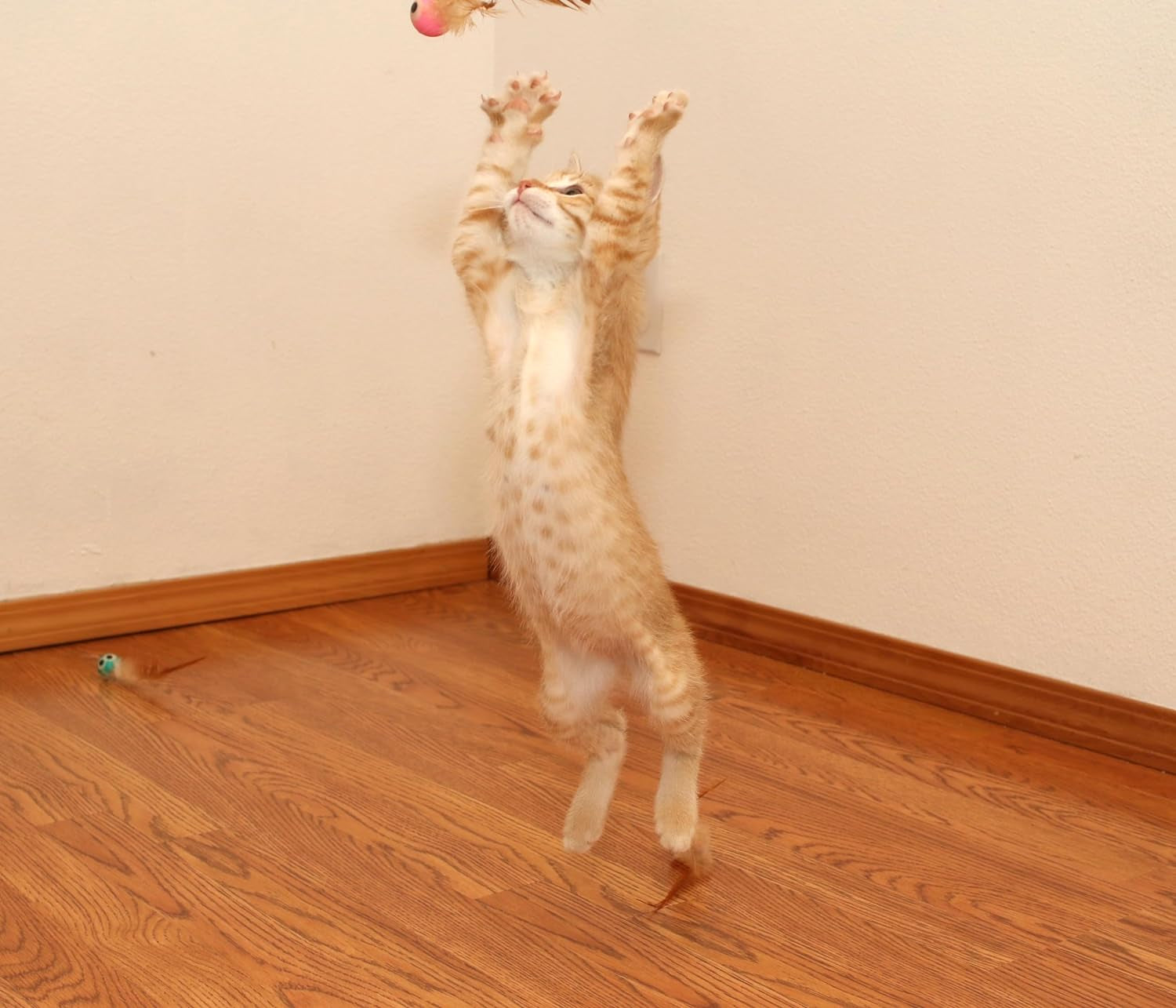 3 Pack Interactive Bouncy Ball with Natural Feathers for Indoor Cats and Kittens Who Love to Play and Have Fun.