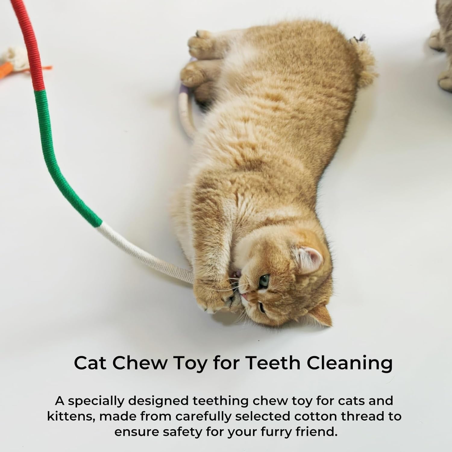 3 Pack Cotton Cat Toys Teething Toys for Kittens, Interactive Cat Chew Rope Toy for Teeth Cleaning Natural Catnip Dog Toys Cat Dental Toy for Aggressive for Indoor Cats