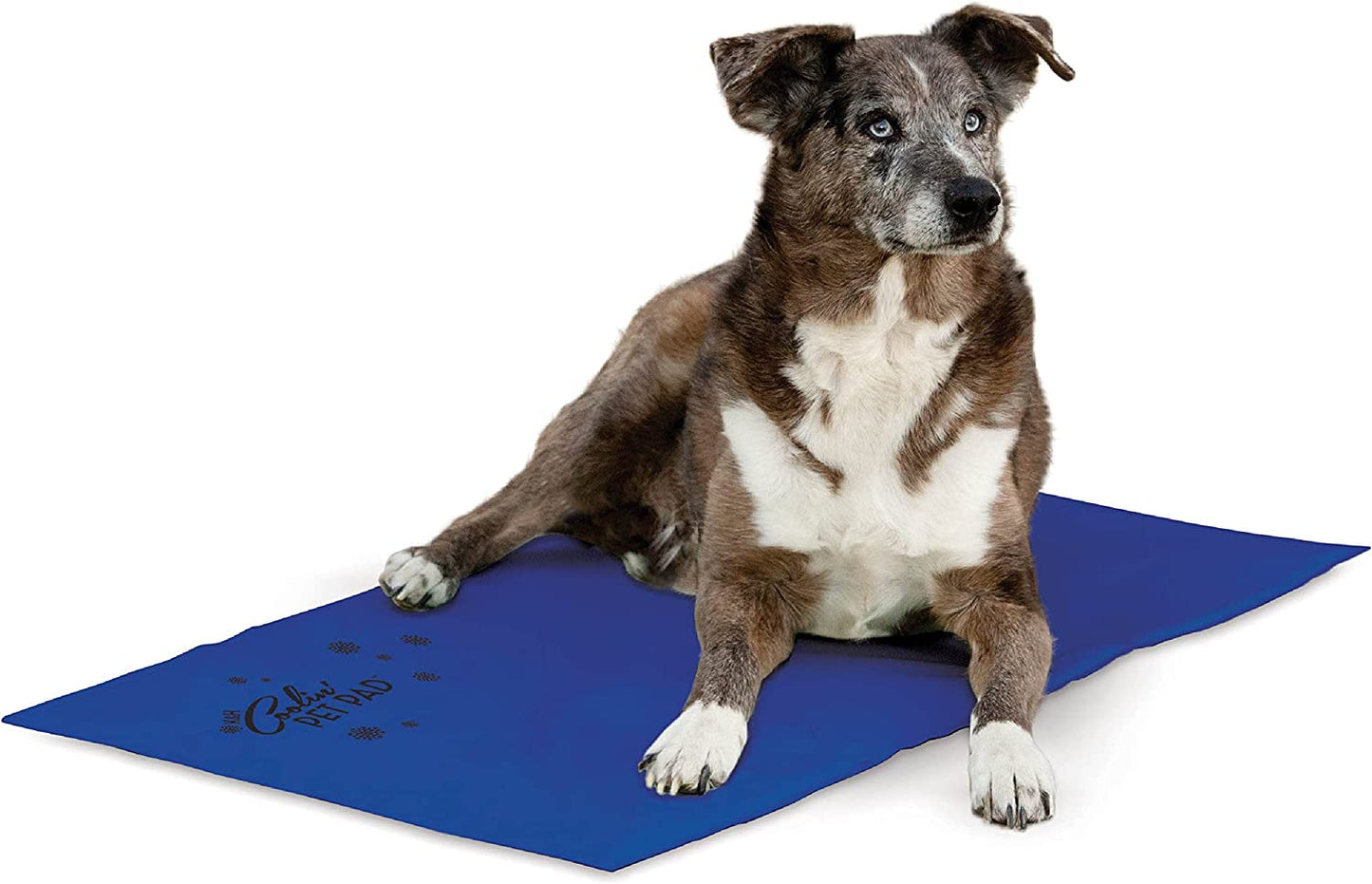 K&H Pet Products Dog Cooling Mat, Outdoor Pet Bed Cooling Pad for Dog Travel Carriers, Easy Carry Non-Toxic No Gel Cooling Dog Bed for Summer, for Cats, Rabbits and More - Blue Medium 20" X 15"