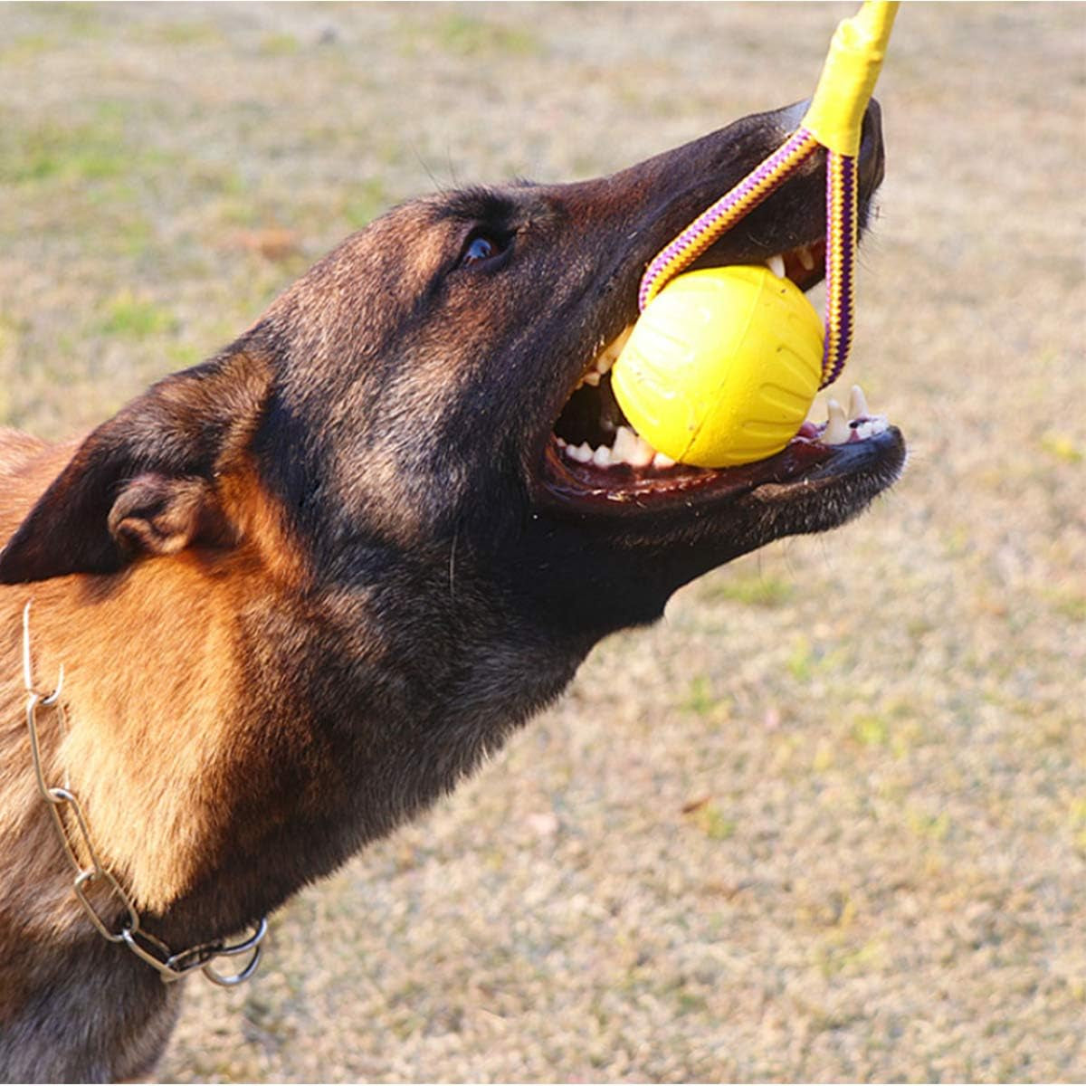 2Pcs Diameter 3.54Inch Large Dog Rope Ball, EVA Rubber Ball on a Rope Dog Toy Can Floats in Water, for Interactive Pet Chewing Training Working Dog Rope Ball Toy, Tugging Ball Toys(Yellow)