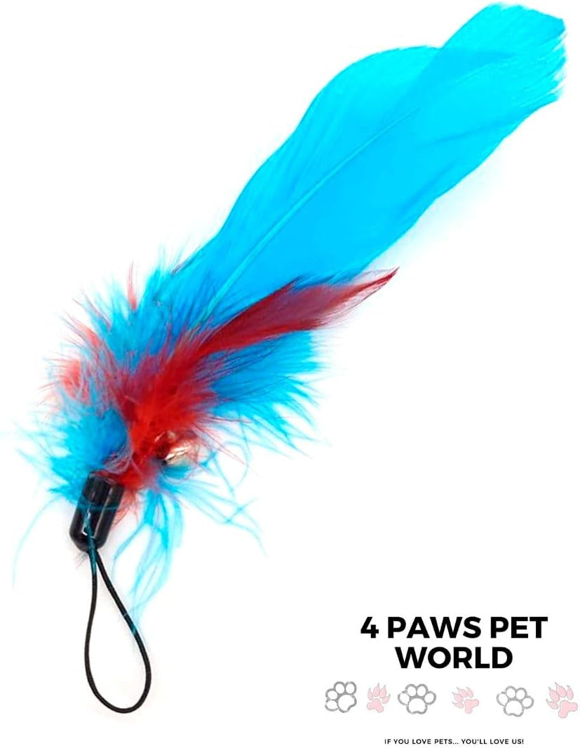 4 Paws Pet World - Cat & Kitten Toys - Feather Cat Teaser Toys - Interactive Feather Refills for Cat Wand Toy.