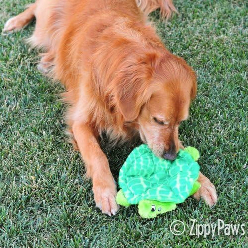 Zippypaws - Crawlers, 6-Squeaker Plush Dog Toy - Slowpoke the Turtle