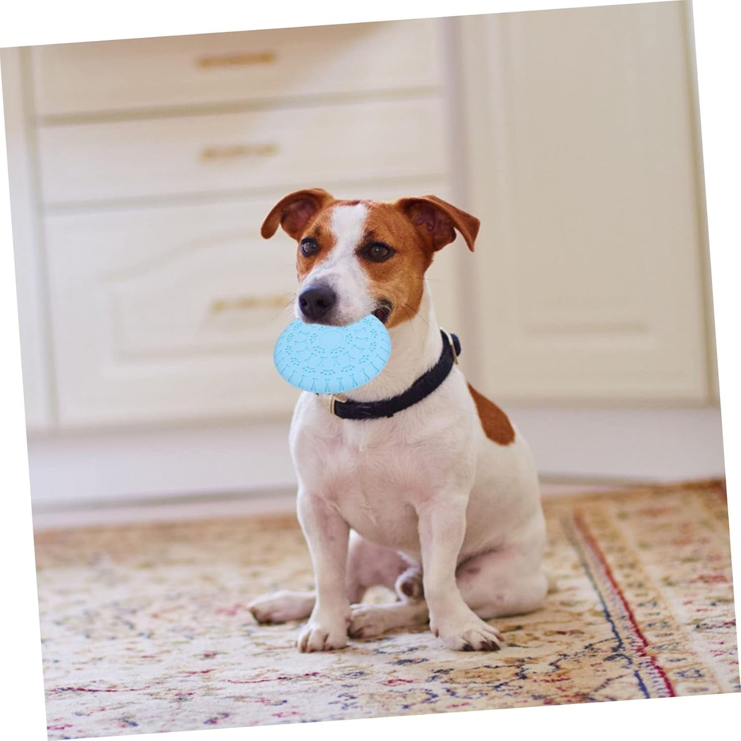 1Pc Pet Toy Funny Dog Toy Chewing Toys for Dogs Floating Dog Puppy Dental Care Dog Teething Toy Dog Training Disc Kid Toys Indoor Playset Puppy Flyer Toy TPR Outdoor Feeder Child