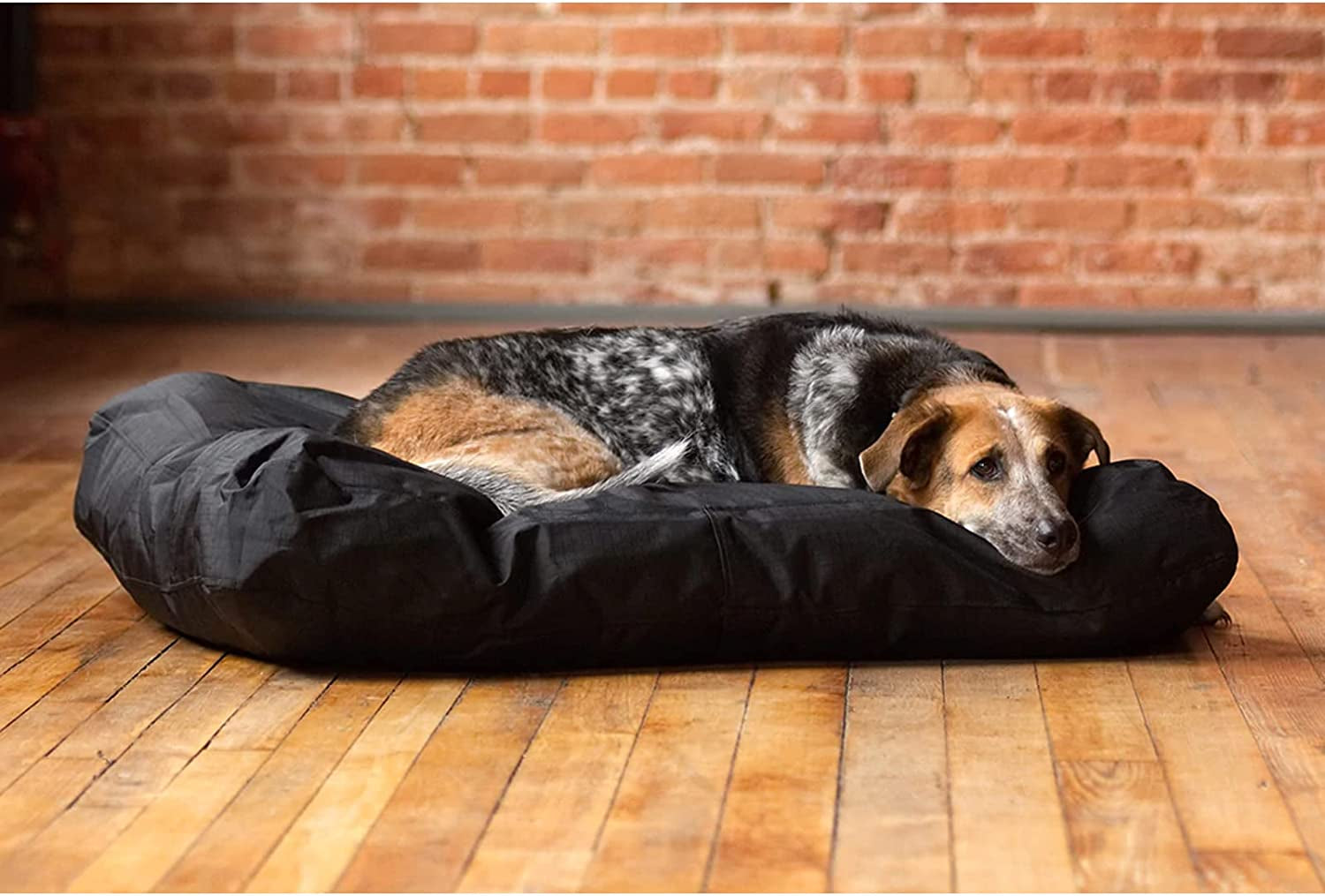 Dog Bed Cover Replacement Washable. 53 L X 42 W X 5 H Inches Washable Removable Orthopedic, Cooling Gel and Memory Foam Pet Bed Protector Cover, Cover Only (Black)