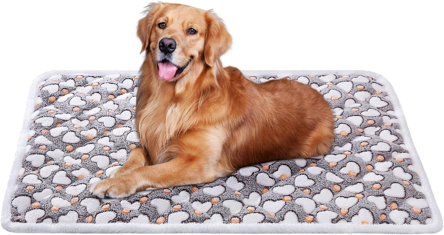 Dog Crate Mats, Soft Reversible Dog Bed Mat, Cat Mat - 24X16 Inch, Short Plush Pet Mat Crate Mat for Small Dogs, 0.6-Inch Thick Thin Dog Mat, Machine Washable Ideal for 24-Inch Dog Crates