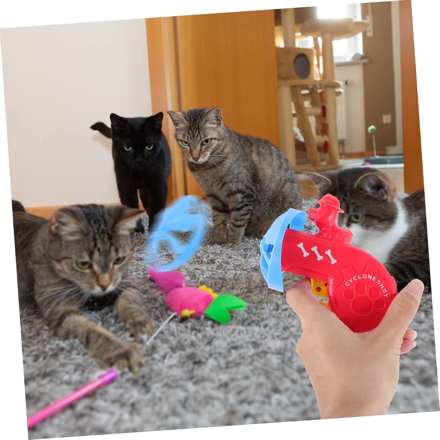 2Pcs Funny Cat Toy Set Flying Saucer Shooter Cat Toy for Boy Toy Disk Launcher Toy Interactive Dog Toy Boys Suits Outdoor Toy Chew Toys for Kids Brain Toy to Rotate Abs Sports Pet