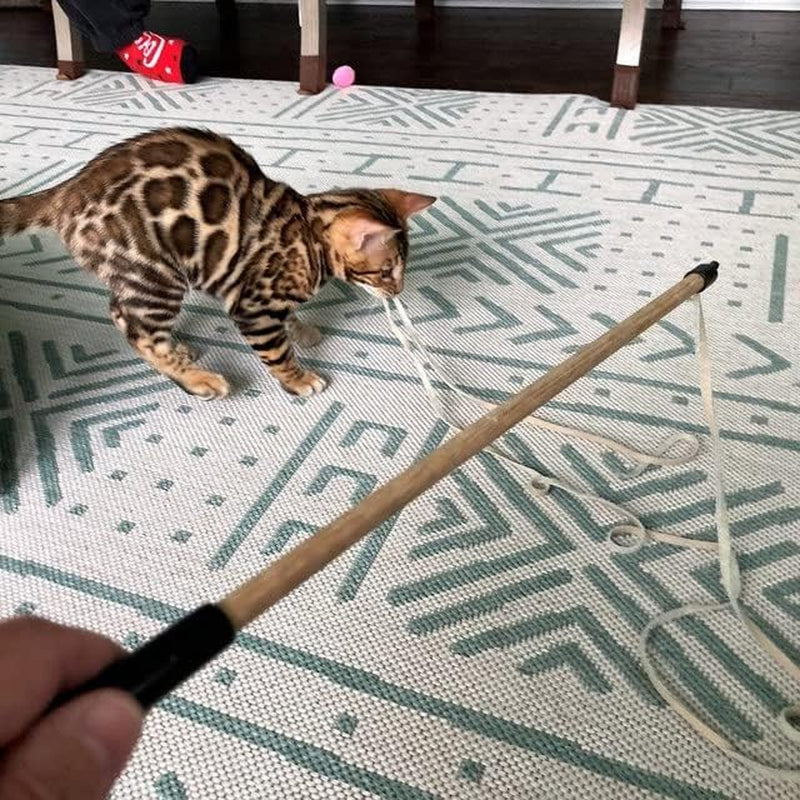 Kitty Leather Fling String - Interactive Cat and Kitten Toy - USA Made, USA Leather (Buffalo Leather on Birch Wand)