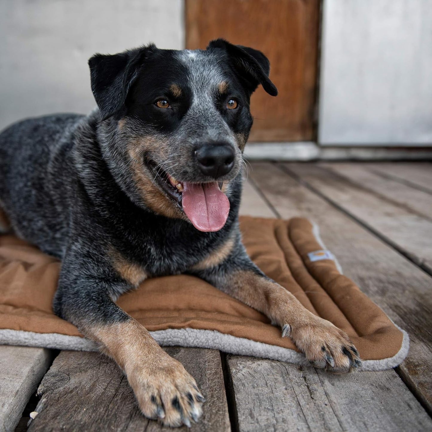 Carhartt Firm Duck Sherpa Top Dog Napper Pad, Carhartt Brown, X-Large