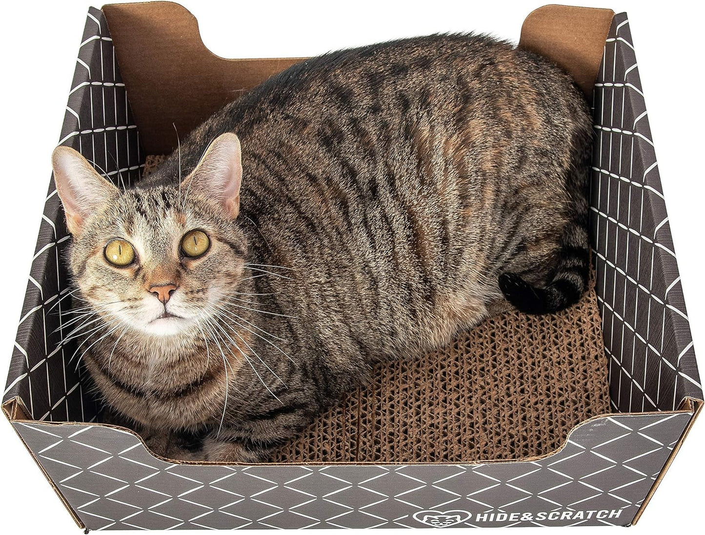 Hide & Scratch Extra-Large Heavy Duty Cardboard Cat Scratcher Box and Cat Bed with Refillable Scratch Pad