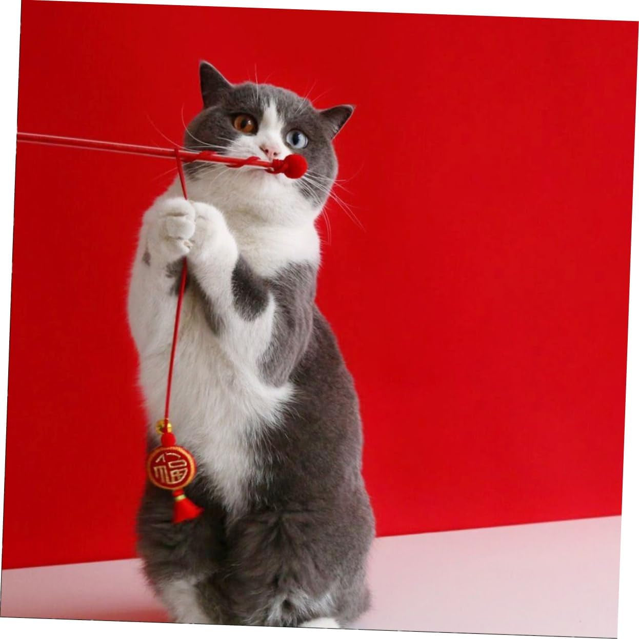 2Pcs Fu Word Cat Teaser Stick Cat Teaser Charmer Chinese New Year Cat Toy Wire Cat Toy Wand Cat Teaser Toys Cat Refill Kitten Toy Kitten Accessory Stick Tassel Cotton Rope