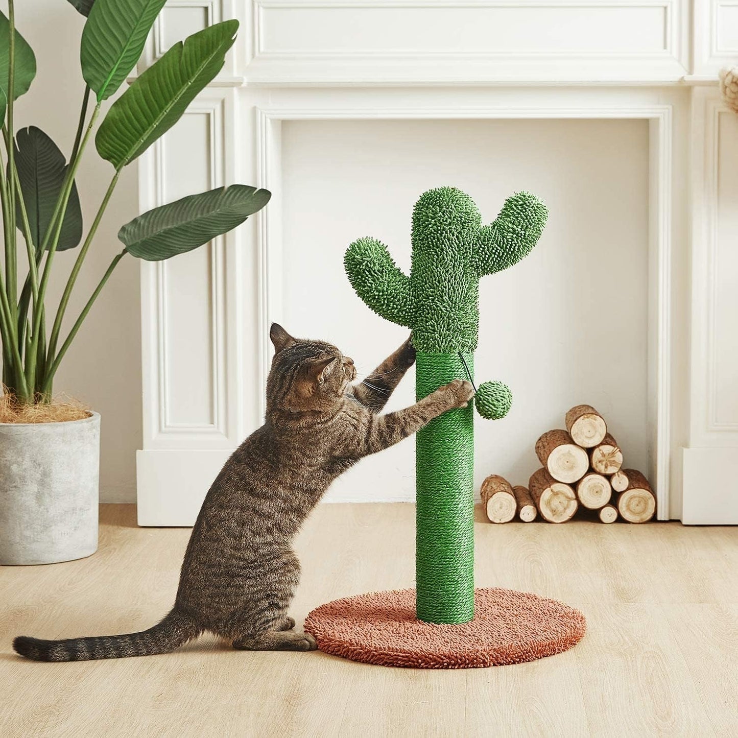 25.6" Cactus Cat Scratching Post with Dangling Ball for Cats Brown