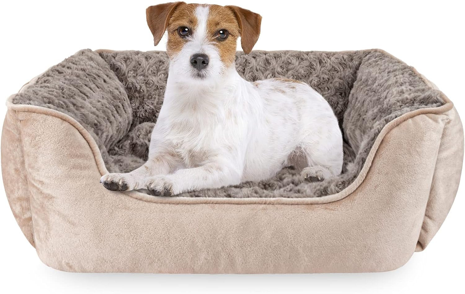 JOEJOY Rectangle Dog Bed for Large Medium Small Dogs Machine Washable Sleeping Sofa Non-Slip Bottom Breathable Soft Puppy Bed Durable Orthopedic Calming Pet Cuddler, Multiple Size, Beige