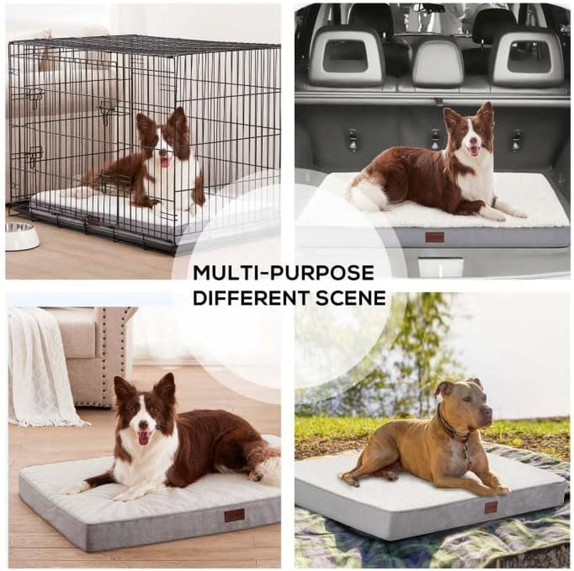 Large Orthopedic Dog Beds for Large and Extra Large Dogs/Cats Egg-Crate Foam Pet Bed Mat with Soft Removable Cover, Waterproof Lining, Foam Dog Crate Bed… (Large(36X24X3''), Cream)