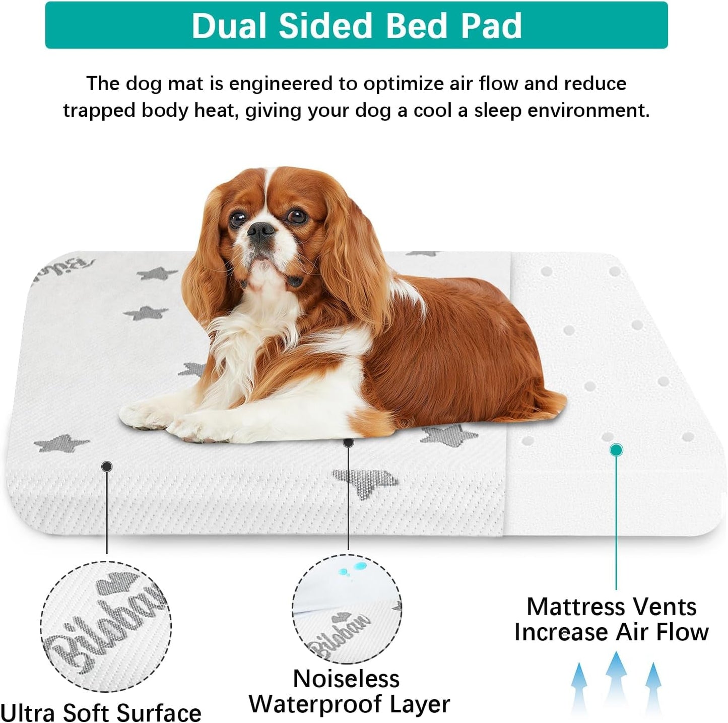 Biloban Waterproof Dog Beds for (Small) Dogs, Washable Dog Bed Mat Pad or Pet Bed, Memory Foam Dog Beds & Furniture with Removable Cover (Light Grey)