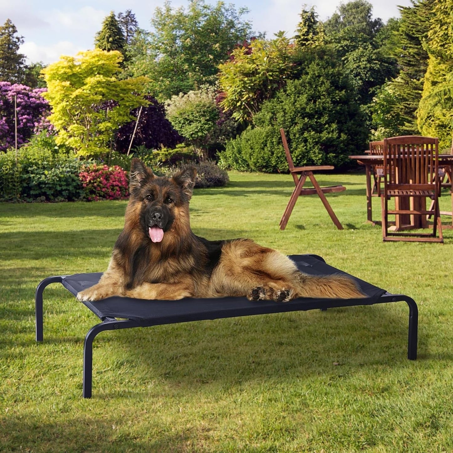 Elevated Dog Bed, Pet Bed, Medium Size with Measures 35.4X23.6 X 5.9In, Portable Bed with a Non-Slip Firm Structure, Easy to Assemble Black