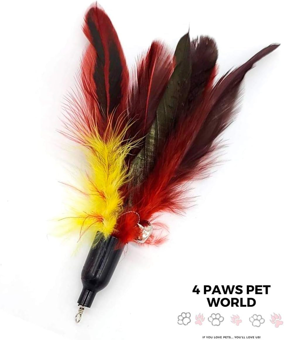 4 Paws Pet World - Cat & Kitten Toys - Feather Cat Teaser Toys - Interactive Feather Refills for Cat Wand Toy.