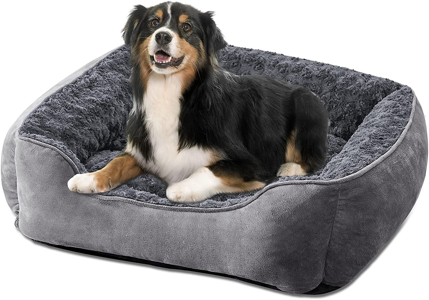 JOEJOY Rectangle Dog Bed for Large Medium Small Dogs Machine Washable Sleeping Sofa Non-Slip Bottom Breathable Soft Puppy Bed Durable Orthopedic Calming Pet Cuddler, Multiple Size, Beige