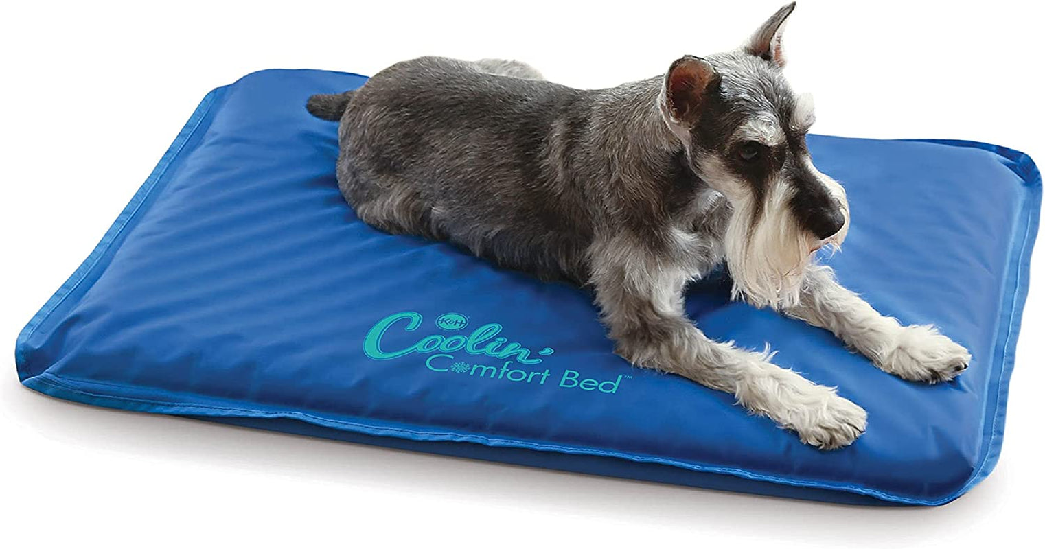 K&H Pet Products Coolin' Comfort Bed Orthopedic Dog Cooling Mat, Cooling Mat for Dogs and Cats, Cooling Dog Bed for Medium Dogs - Blue Medium 22 X 32 Inches