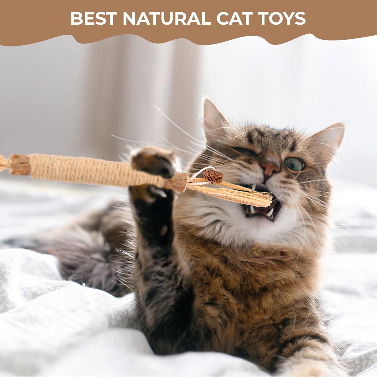 4 Pcs Natural Silvervine Sticks for Cats Dental Toy for Kitten Teeth Cleaning Catnip Chew Toys Silvervine Sticks Cat Toys for Indoor Cats