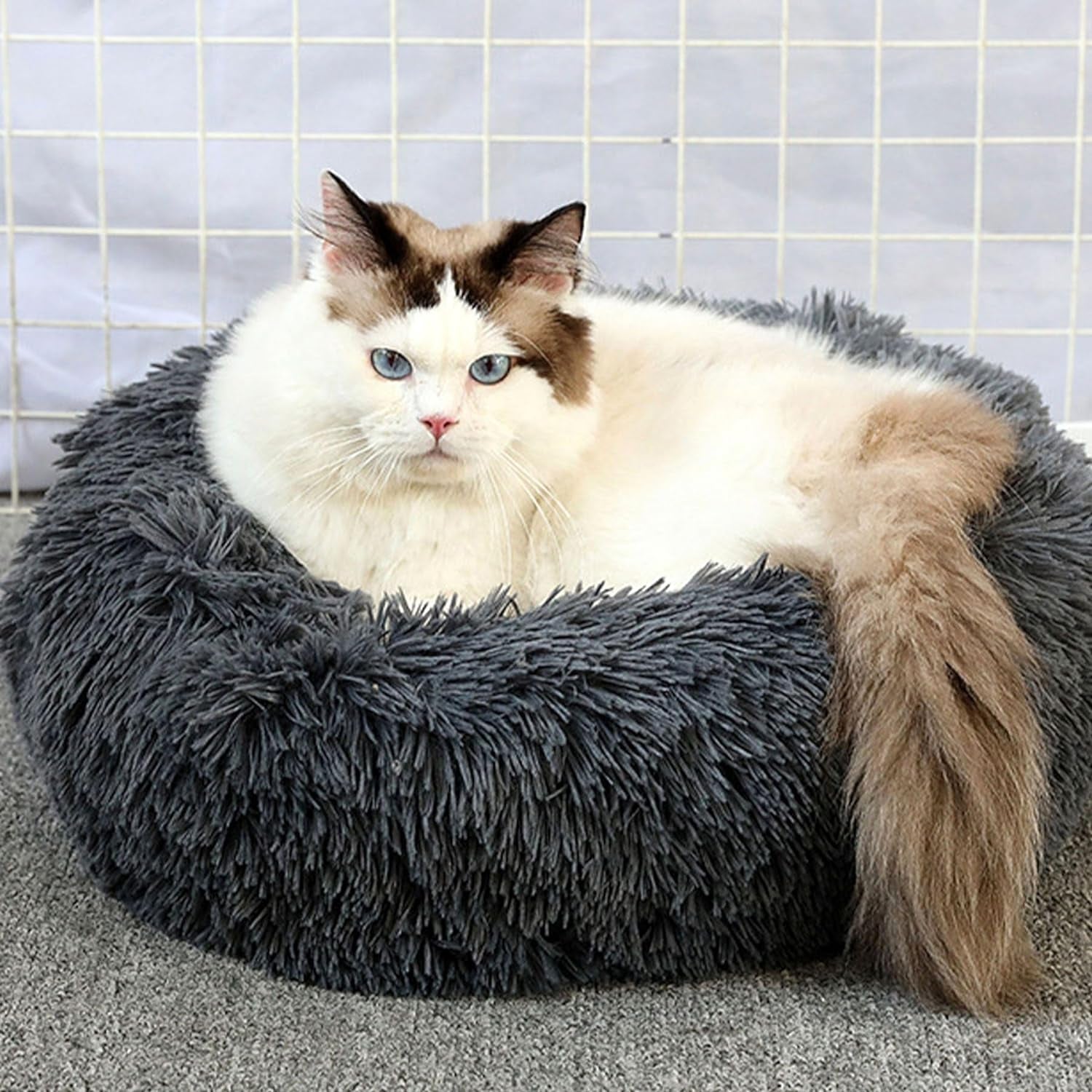 Cat Beds for Indoor Cats, 20 Inches Cat Bed Calming Plush Cat Bed Anti-Slip round Fluffy Dog Bed Donut Dog Bed Soft Puppy Pet Bed Cat Beds for Small Medium Dogs Kittens (Dark Grey)