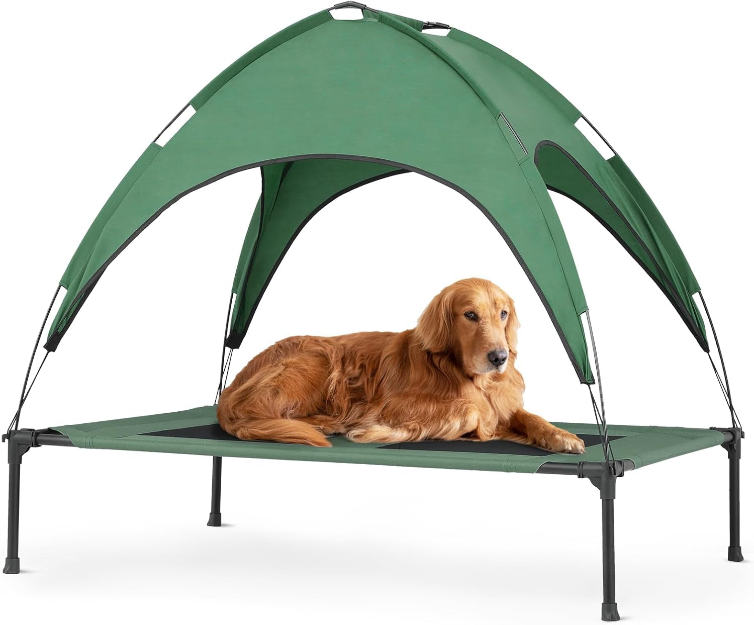 Magshion Elevated Dog Bed with Canopy Raised Indoor/Outdoor Cooling Breathable Mesh Pet Cot Bed for Small Dogs and Cats, Green