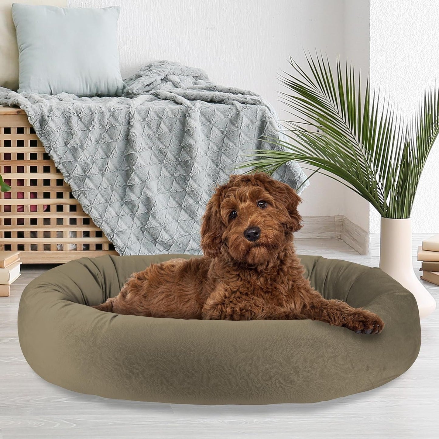 Arlee Orbit Orthopedic Memory Foam Dog Bed - Premium, Durable, Washable, and Easy to Clean Fabric, Chew Proof Pet Bed for Large and Extra Large Dogs, Designed for Ultimate Comfort - Aloe(L)