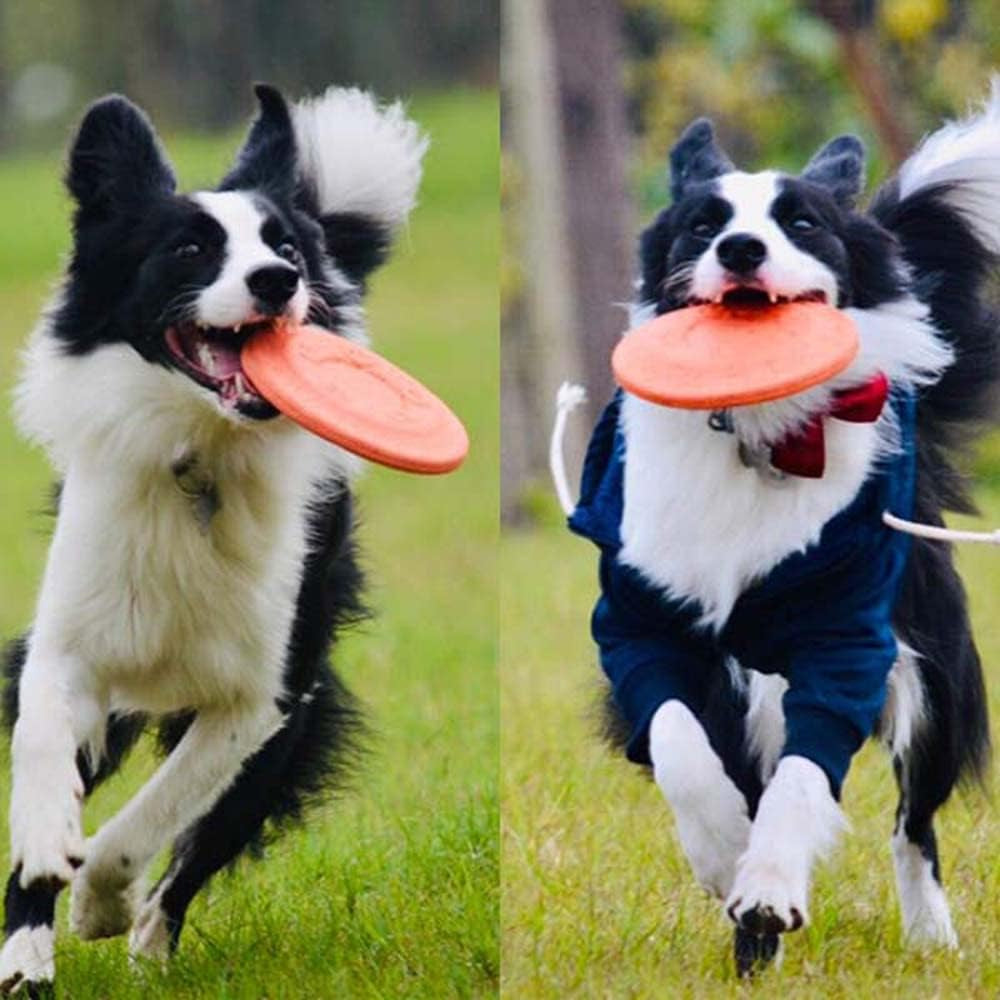 2 Pack Dog Flying Disc,Dog Flying Disc Indestructible,Dog Flyer Dog Toy,Outdoor Training and Play Toy for Both Small and Large Dogs