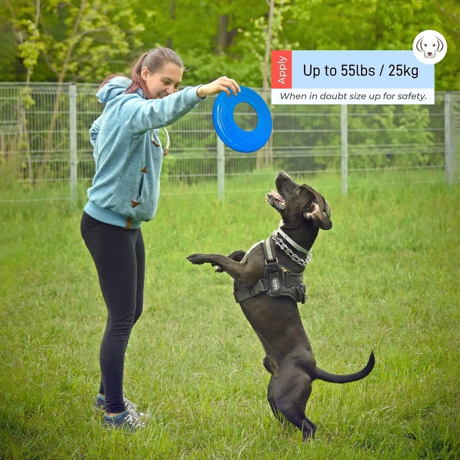 2 Packs Dog Toy Flying Disc, Pet Training Rubber Flying Toy Golf Saucer Fetch, Floating Water Dog Toy 2Pcs for Small, Medium, or Large Dogs Outdoor Flight, BLUE & RED