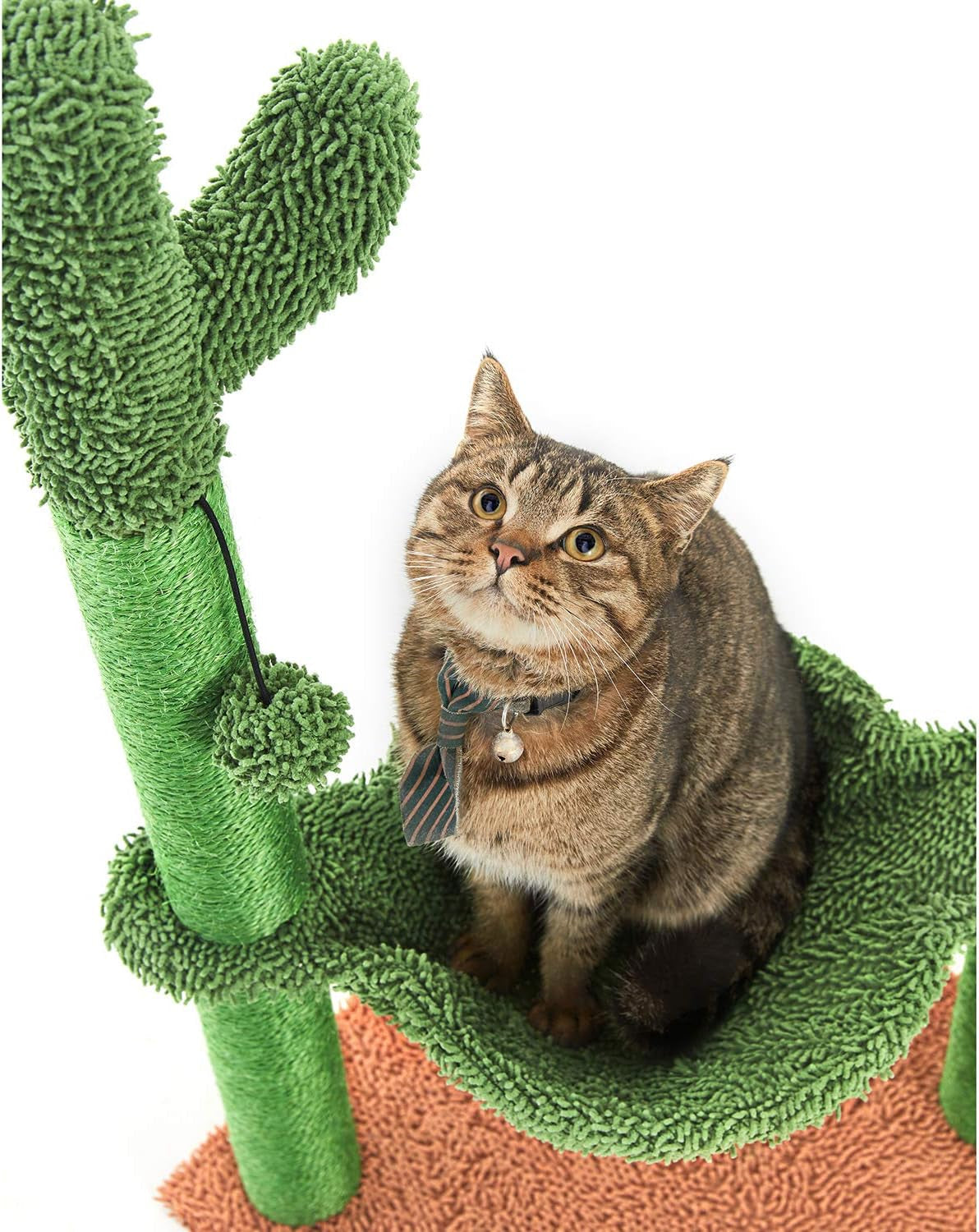 31" Cactus Cat Tree with Hammock and Full Wrapped Sisal Scratching Post for Small Cats Only Brown Medium