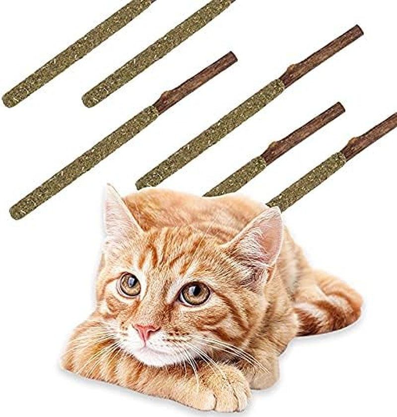 20Pack Silvervine Cat Toy，Silvervine Sticks for Cats，Catnip Silvervine Chew Sticks，Catnip Cat Toy，Sticks Teeth Molar Chew Toys，Indoor Cat Toys (20Pcs-)