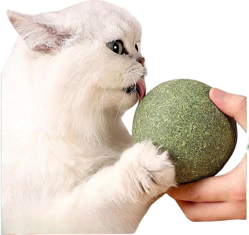 2PCS Cat Giant Catnip Balls, 4" Huge Catnip Ball for Indoor Cats, Kitten Big Catmint Ball Licker Toy, Organic Large Catnip Ball, Jumbo Catwort Toy for Cat (Catnip Balls 2PCS)