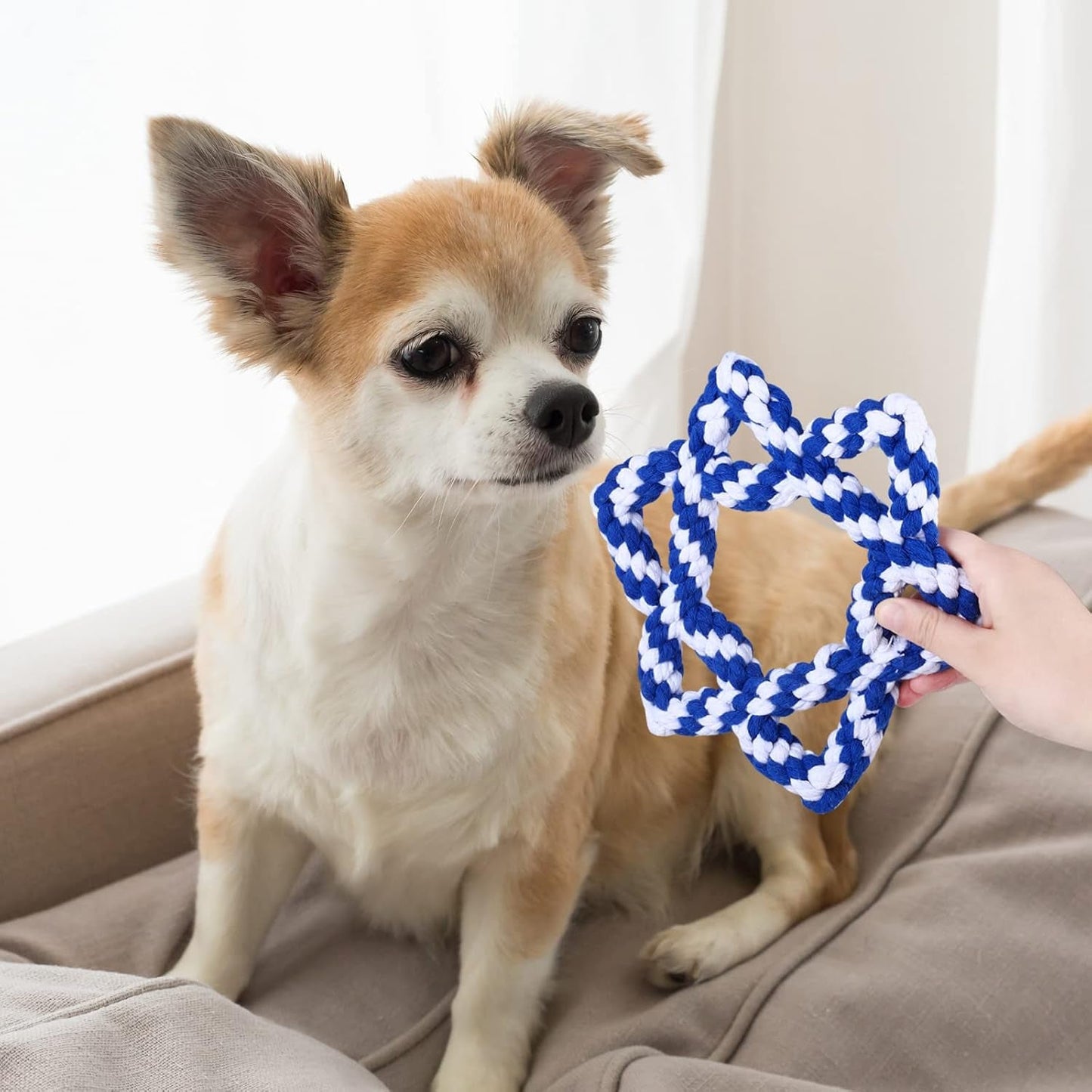 2 Pack Hanukkah Dog Plush Toys Puppy Interactive Stuffed Chew Toys Hexagonal Cotton Rope & Tennis Drawstring Toy for Small Medium Dogs