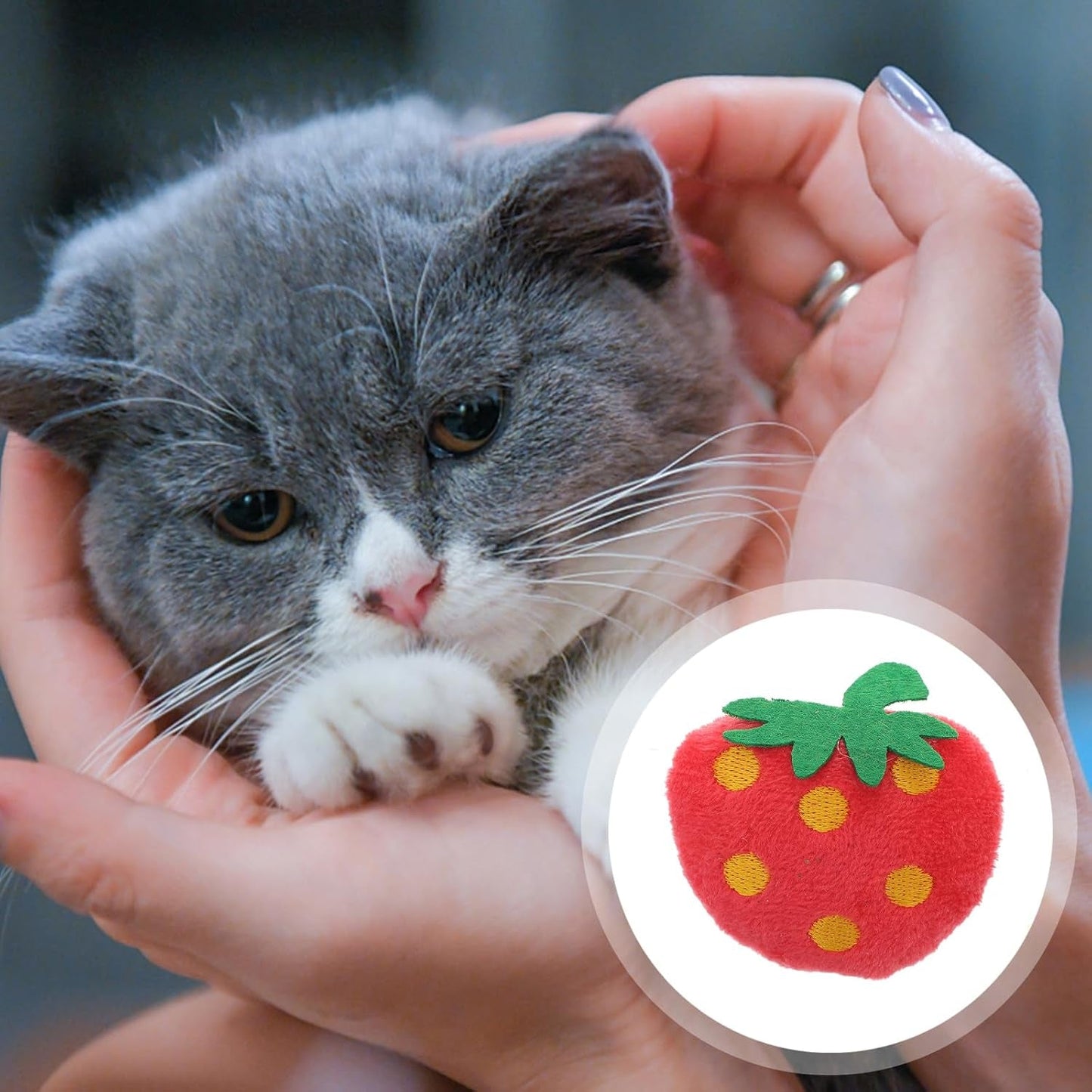 10Pcs Plush Simulated Strawberry Toys Pet Bite Chew Doll Cat Catnip Playing Toy Funny Pet Plush Toy Home Decor for Cat Pet