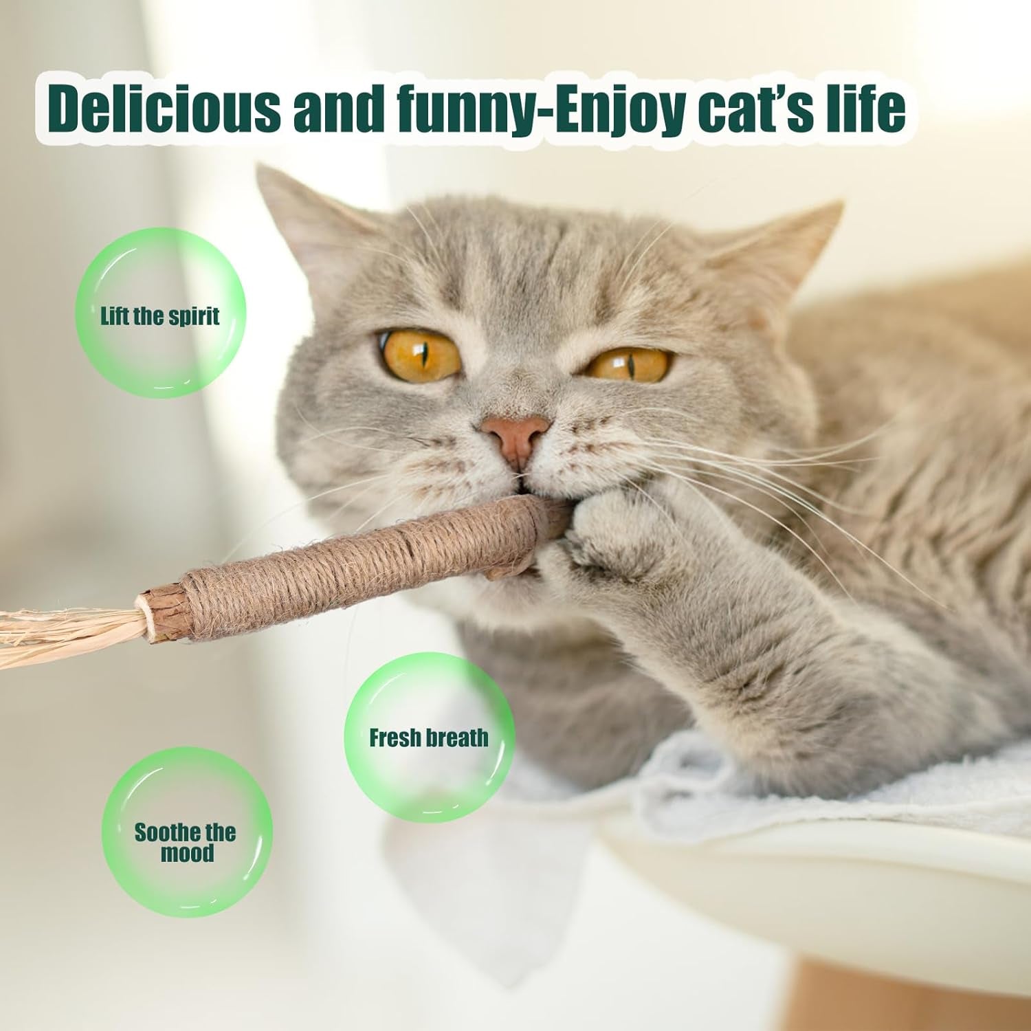 2Pcs Silicone Collar Cat Toys & 3Pcs Cat Teasing Wands, Adjustable Cat Wand Toy Cat Feather Toys Catnip Chew Toys Silvervine Sticks Interactive Cat Teaser Toys for Indoor Cat Kitten Exercise