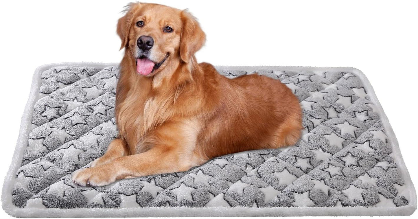 Dog Crate Mats, Soft Reversible Dog Bed Mat, Cat Mat - 24X16 Inch, Short Plush Pet Mat Crate Mat for Small Dogs, 0.6-Inch Thick Thin Dog Mat, Machine Washable Ideal for 24-Inch Dog Crates