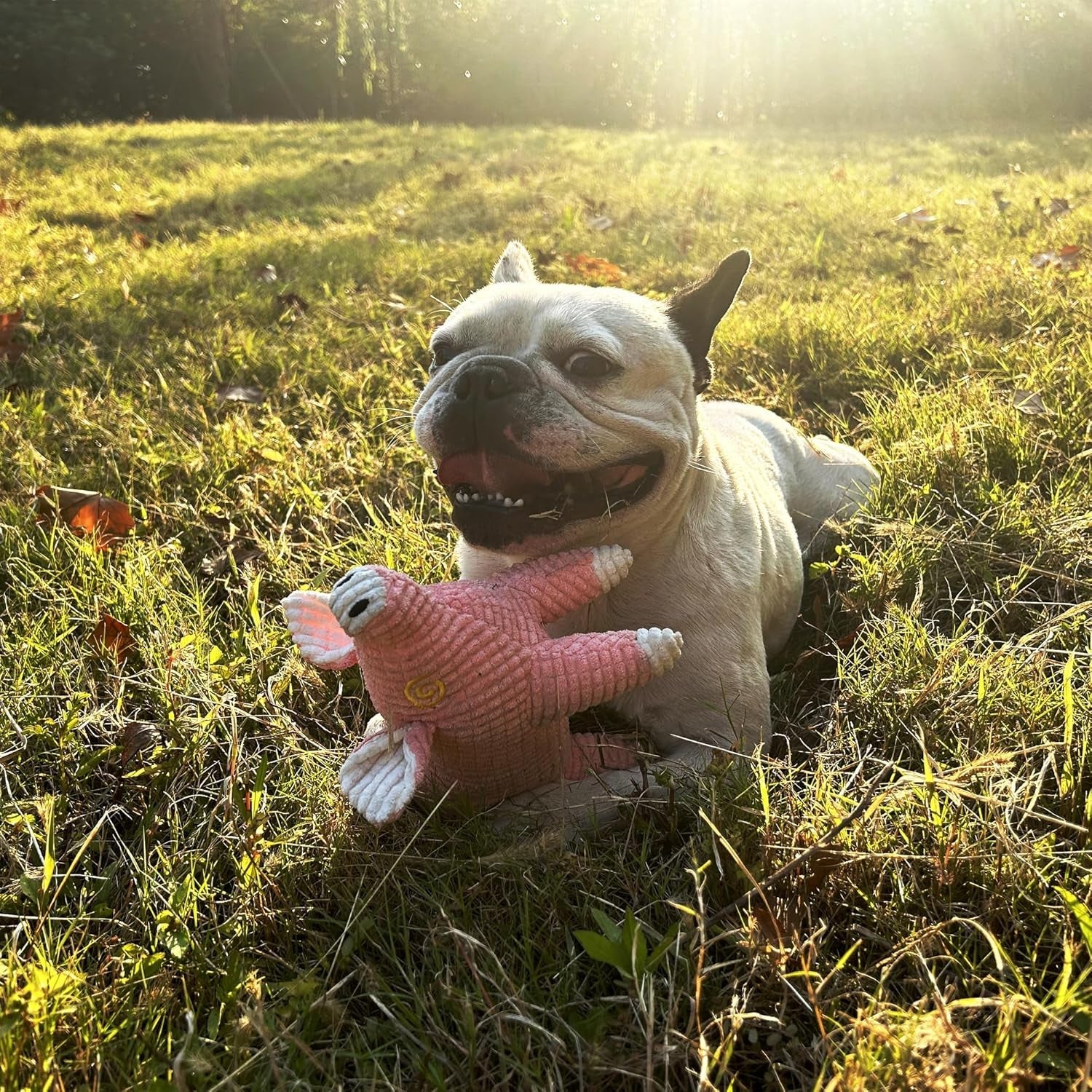 2 Pack Pigs Plush Toys for Dogs, Interactive Dog Toys for Dog Birthday, Squeaky Dog Toys for Gifts, Pink Pig Dog Toys Plush and Brow, Mothers Day Dog Mom Gifts.