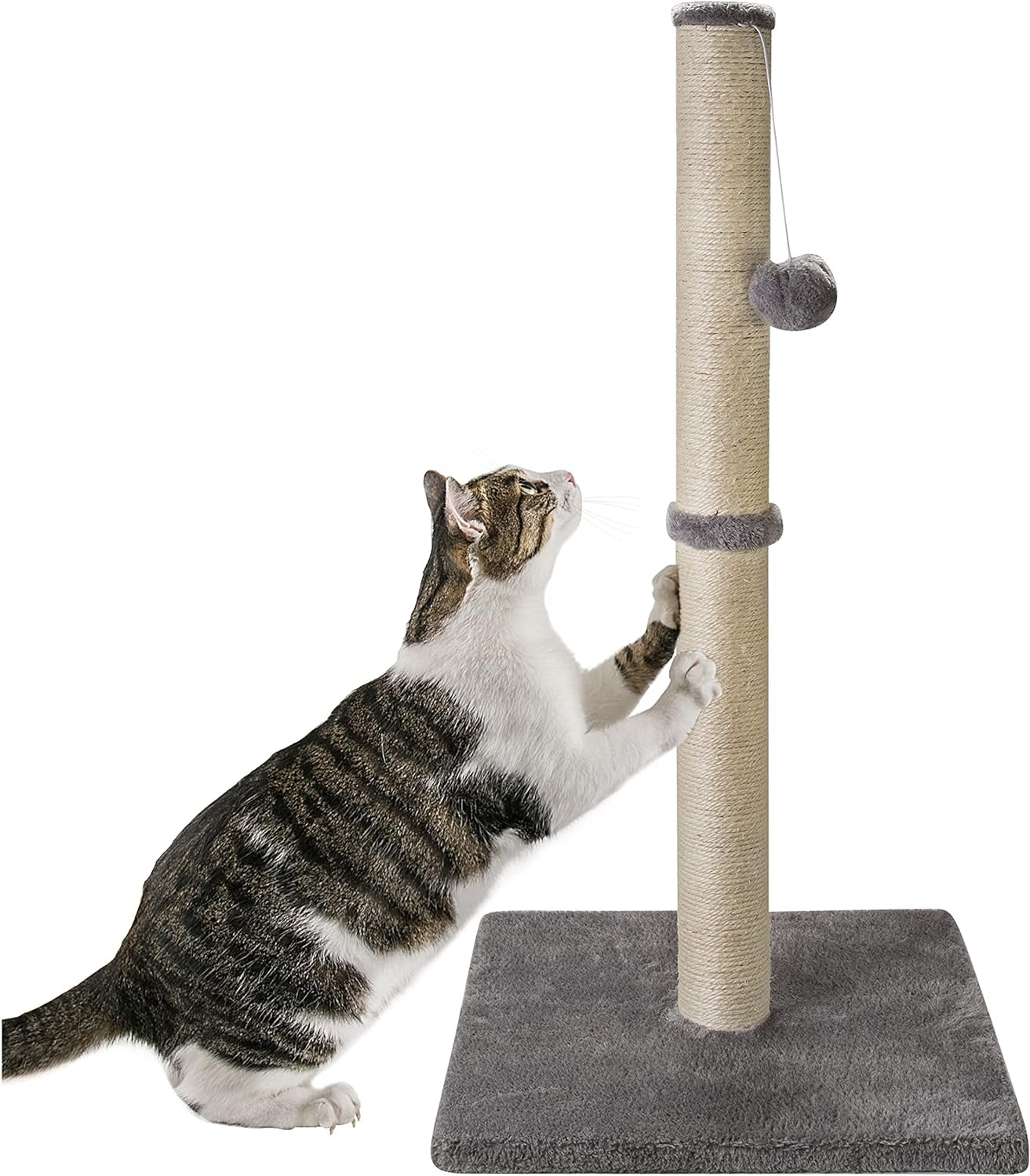 32 Inches Tall Cat Scratching Post, Cat Scratch Post Tree Kitten Scratcher with Sisal Rope, Scratching Post for Indoor Cats with Hanging Ball